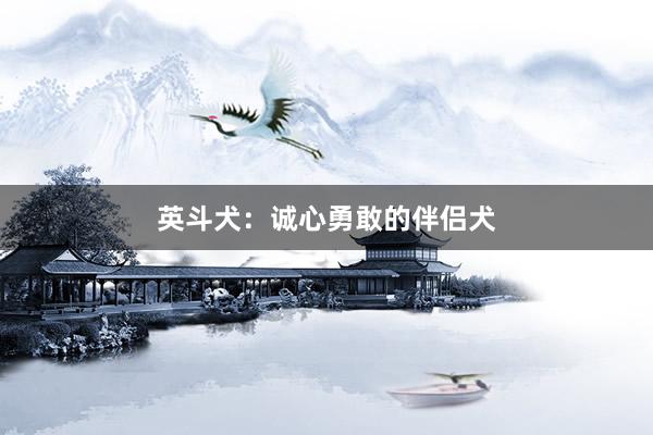 英斗犬：诚心勇敢的伴侣犬