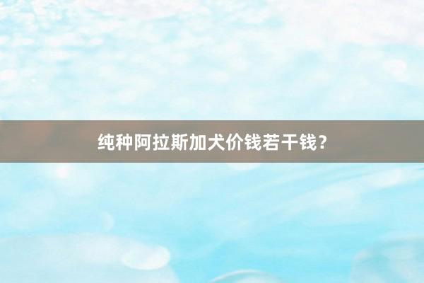 纯种阿拉斯加犬价钱若干钱？