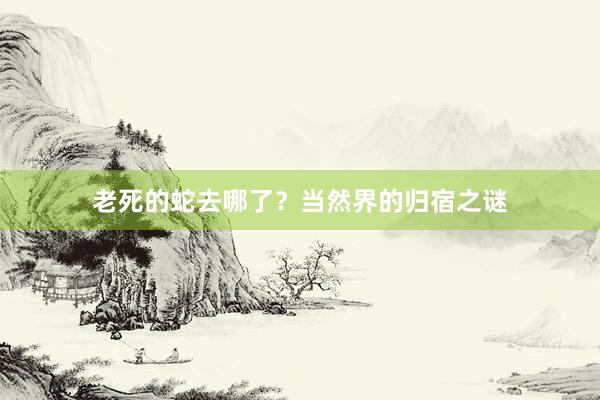 老死的蛇去哪了？当然界的归宿之谜