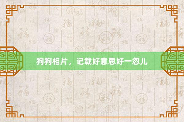 狗狗相片，记载好意思好一忽儿